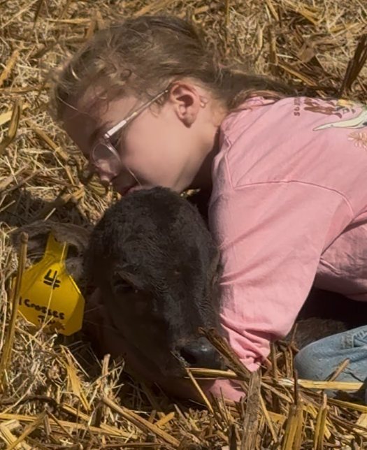 A young 4Crosses rancher with a newborn Wagyu calf