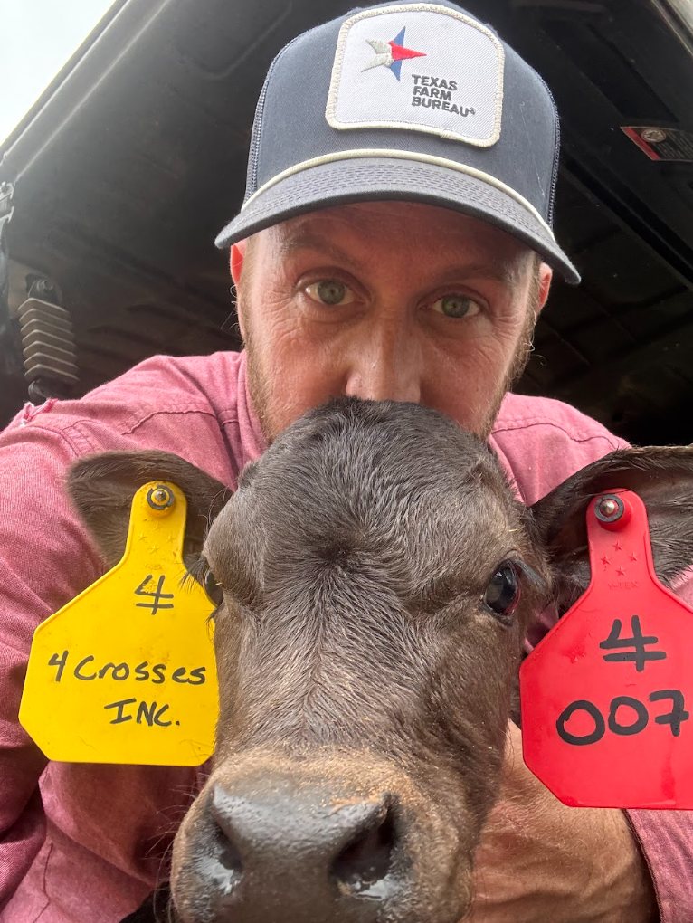 4Crosses rancher with a tagged Wagyu calf